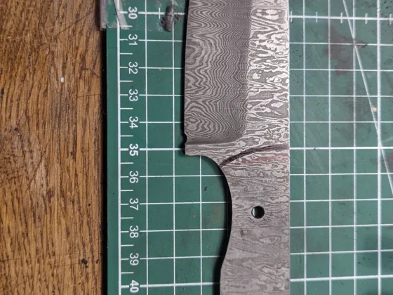 PXL 20220403 124515953